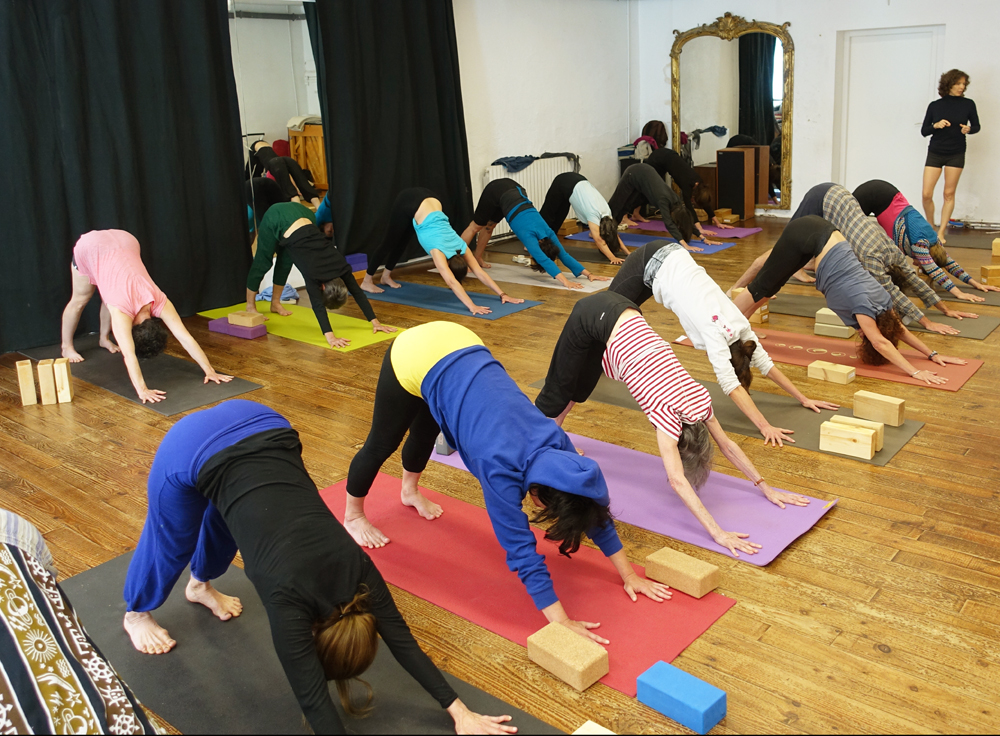 Une vie de Adho Mukha Svanasana.